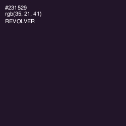 #231529 - Revolver Color Image