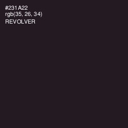 #231A22 - Revolver Color Image