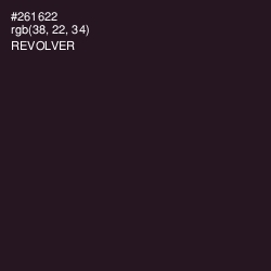 #261622 - Revolver Color Image