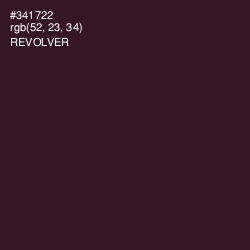 #341722 - Revolver Color Image