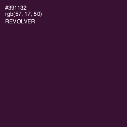 #391132 - Revolver Color Image