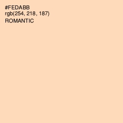 #FEDABB - Romantic Color Image