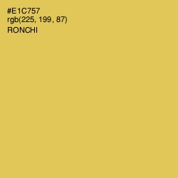#E1C757 - Ronchi Color Image