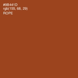 #9B441D - Rope Color Image