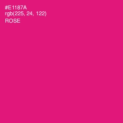#E1187A - Rose Color Image