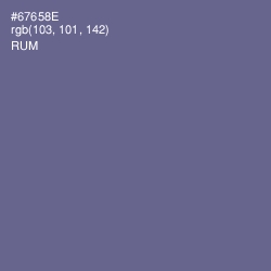 #67658E - Rum Color Image