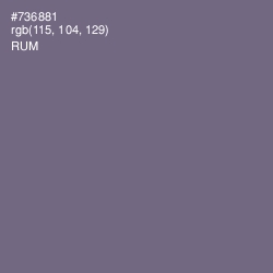 #736881 - Rum Color Image