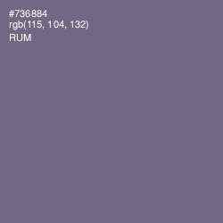#736884 - Rum Color Image