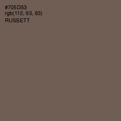 #705D53 - Russett Color Image