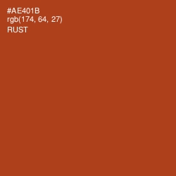 #AE401B - Rust Color Image