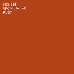 #B34318 - Rust Color Image