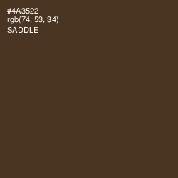 #4A3522 - Saddle Color Image