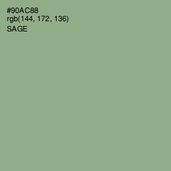 #90AC88 - Sage Color Image