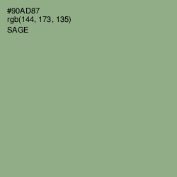 #90AD87 - Sage Color Image