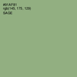 #91AF81 - Sage Color Image