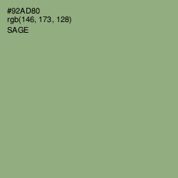 #92AD80 - Sage Color Image
