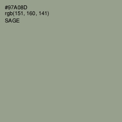 #97A08D - Sage Color Image