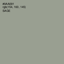 #9AA091 - Sage Color Image