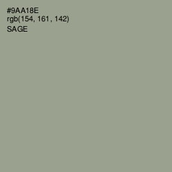 #9AA18E - Sage Color Image