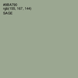 #9BA790 - Sage Color Image
