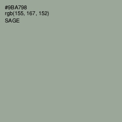 #9BA798 - Sage Color Image