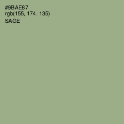#9BAE87 - Sage Color Image