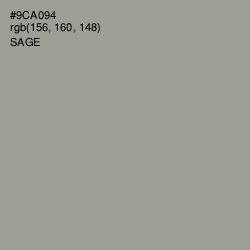 #9CA094 - Sage Color Image