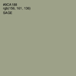 #9CA188 - Sage Color Image