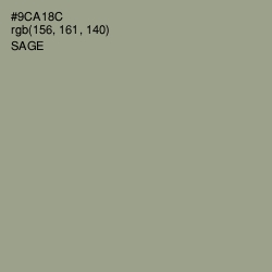 #9CA18C - Sage Color Image