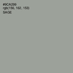 #9CA299 - Sage Color Image