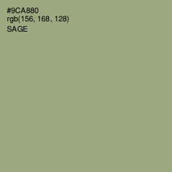 #9CA880 - Sage Color Image