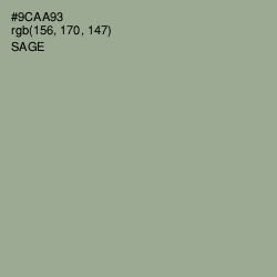 #9CAA93 - Sage Color Image