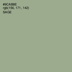 #9CAB8E - Sage Color Image