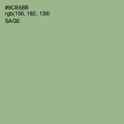 #9CB68B - Sage Color Image