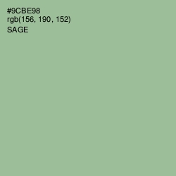 #9CBE98 - Sage Color Image