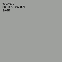 #9DA09D - Sage Color Image