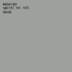 #9DA19D - Sage Color Image