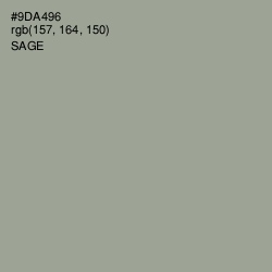 #9DA496 - Sage Color Image