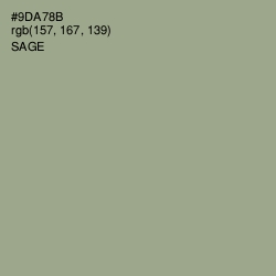 #9DA78B - Sage Color Image