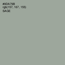 #9DA79B - Sage Color Image