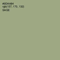 #9DAA84 - Sage Color Image