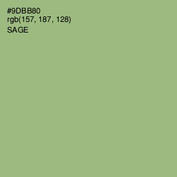 #9DBB80 - Sage Color Image