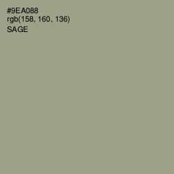 #9EA088 - Sage Color Image