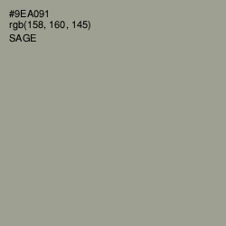 #9EA091 - Sage Color Image