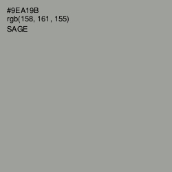 #9EA19B - Sage Color Image