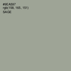 #9EA597 - Sage Color Image