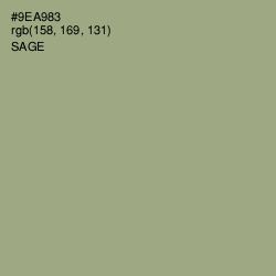 #9EA983 - Sage Color Image