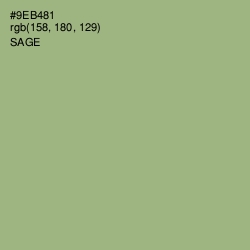 #9EB481 - Sage Color Image