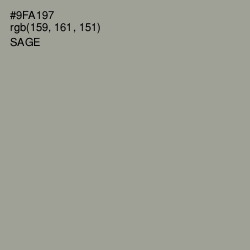 #9FA197 - Sage Color Image