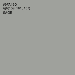 #9FA19D - Sage Color Image
